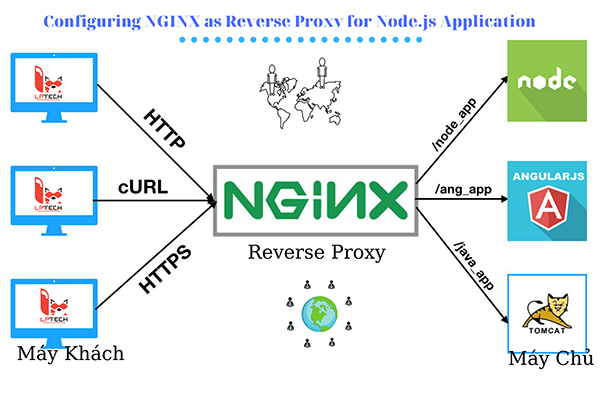 nginx reverse proxy angularjs
